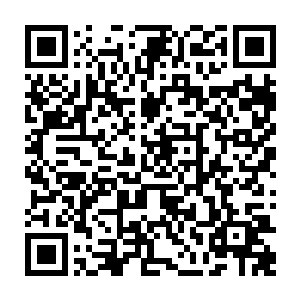 听说总馆主亲自过来的时候他满心高兴地以为总馆主是来帮他主持公道的二维码生成