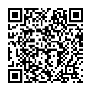 听说是一些欧洲的专家按照总教官的要求弄出来的玩意二维码生成