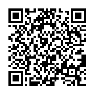 听说是前些日子归元神君和月阳神君在烛龙领碰了面二维码生成