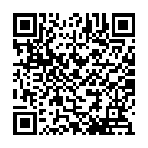 听说是圣上下旨要他去追查十三皇子程昱的下落二维码生成