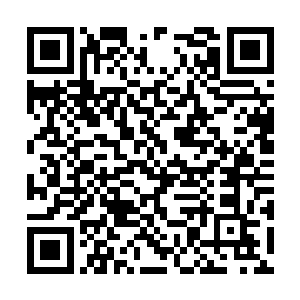 听说猛虎山的大当家的就是被当官的害得家破人亡二维码生成