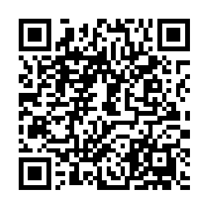 听说第一笔两百万补助资金已经从省财政厅拨出来了二维码生成