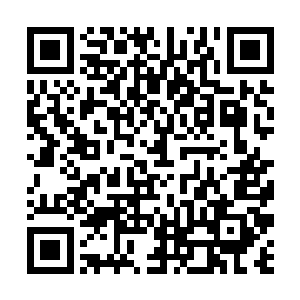 听说聚贤四怪在这里的祭台上发现了数千根元素水晶二维码生成