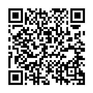 听说被安达曼家族用那台机器来管理着庞大的家族产业二维码生成