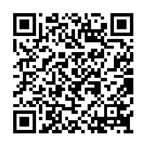 听说这剧本是你们公司的编剧帮明导最后完成的二维码生成