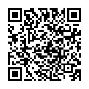 听说这是出自一位在星尘学院毕业的雕刻大师的手艺二维码生成