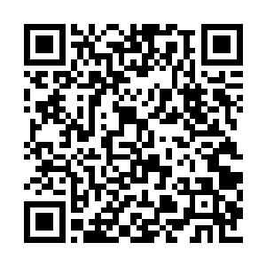 听说那张辽还护送着吕布的小妾貂蝉从北面突围二维码生成