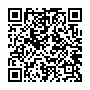 听说那法阵里是历任从若耶岛飞升的佛修留下且经过层层加固二维码生成