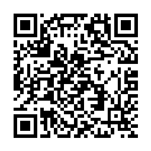 听说飓风军团的精锐特种部队在前两天已经开到了卡雷山脉之中二维码生成