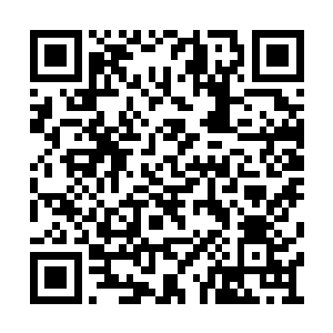 听说黑暗家族体内流淌有源自于远古的黑暗血脉二维码生成