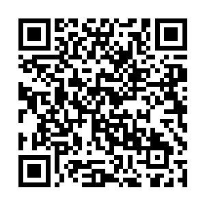 听说龙神宫每一届卸任的龙皇都会前往某个地方潜修二维码生成