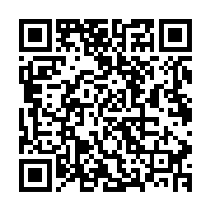 听贝海这么一说两个小家伙现在的兴致立刻又高涨了一个档次二维码生成