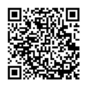 听起来……这个秘密若是被四柱神和他们的心腹给得知了……二维码生成