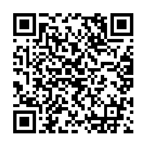 听这鸣叫之声便能断定出这林中至少了数十只鸟类二维码生成