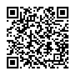 听远方来的客人告诉我们黑土城正在选拔神殿战士二维码生成