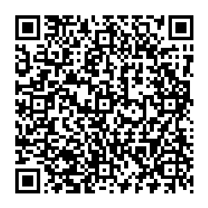 听闻你们五峰观与全真道的七脉真传之间似乎起了一些矛盾……你所发行的灵武期刊贫道也看过二维码生成