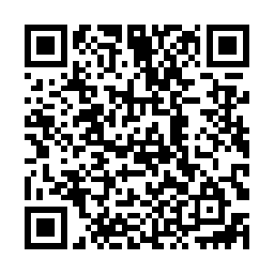 听闻周日月在本届王朝大比当中只取得了一个第三名二维码生成