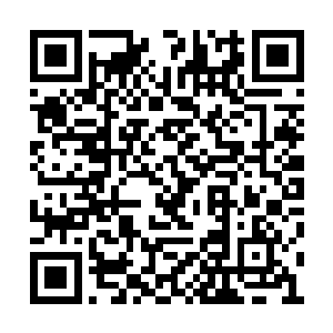 听雨轩修剪花卉的丫头第一个看到回来的朱平安二维码生成