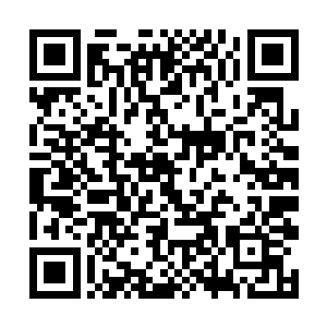 听马一冰这么说的那么确定贺建军也有一些紧张起来二维码生成