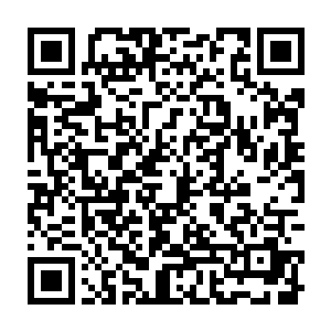 听魏燕说秦老先生在蛊林里教一些以前因为乱入蛊林惨死的小娃娃们说汉语二维码生成