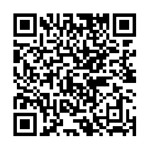 听鹿灵犀认真地讲着她对秋天的童话的理解和解读二维码生成