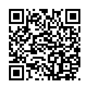 启天则在那10多位界主之间不断穿梭着二维码生成