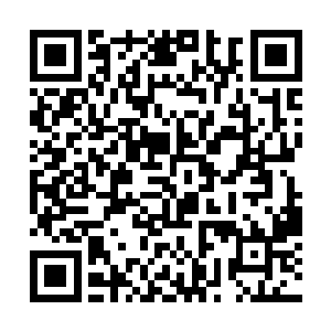 吴二姑娘没有去上个月神将府大少奶奶的及笄之礼吧二维码生成