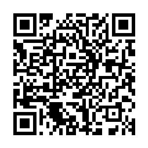 吴保兴家的带着两个儿媳及一干丫鬟婆子忙不迭的上前恭喜容锦二维码生成