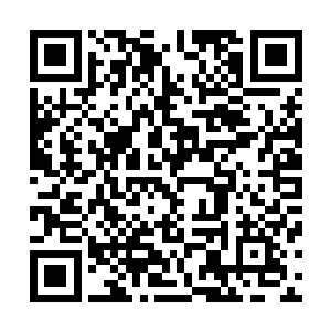 吴啸云与樱寻夏莉原本正坐在沙发上有说有笑的交谈着什么二维码生成