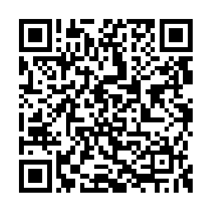 吴啸云有些为难的看了看面前的林辰以及沐剑枫二维码生成
