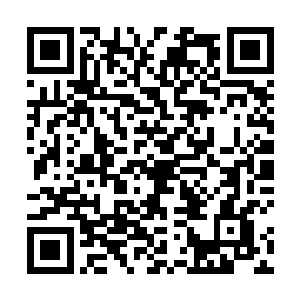 吴喜儿随着陆文豪和方玮去往泰国后被安置在一处宾馆二维码生成