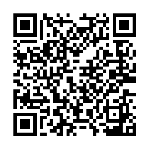 吴宏建和杜锦标这两个吃喝嫖赌样样都来的公子哥二维码生成