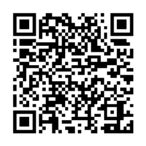 吴小六依然还是拿着勺子站在醉仙居门前炸臭豆腐二维码生成