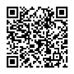 吴岩一脸苦笑的再次出现在了那名叫张坚的摊位前二维码生成