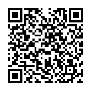 吴岩也绝不会愚蠢到正面与猎海联盟和四大宗派翻脸的程度二维码生成