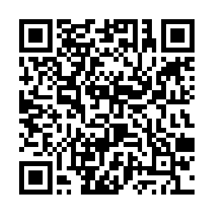 吴岩也绝无可能那么轻松的找到这十三部水族的宝库二维码生成