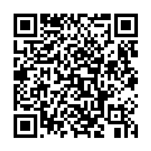 吴岩从他的身上感受到了极为精纯的幽冥鬼灵火的气息二维码生成