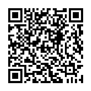 吴岩从破口袋里把那个陪伴了自己好几个月的破布二维码生成