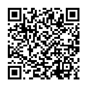 吴岩倒是对放出去的那群吞天刀螂没有多少担心二维码生成