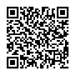 吴岩其实很早前就想教训一下这四个狂傲无礼的家伙了二维码生成