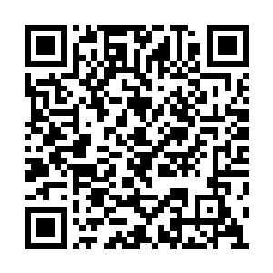 吴岩却低估了那黑鳖精的饥饿程度和灵敏的感应二维码生成