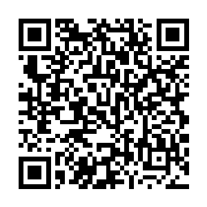 吴岩可不想带着这么样四个能够随时为自己引来灾祸的战兽二维码生成