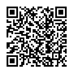 吴岩哭笑不得的摆脱了天算子和刘宝鑫两人的拉扯二维码生成