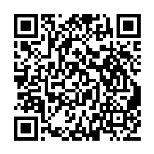 吴岩已经到了一座方圆百里大小的荒岛附近海域二维码生成