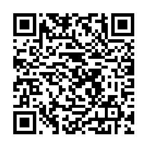 吴岩并不去理会那用影遁术幻化出十余道魔影的影魔二维码生成