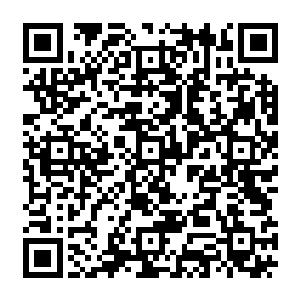 吴岩并没有去观察血蛟魔婴控制血身不断吸收融合血身之内血脉和精元的具体情形二维码生成