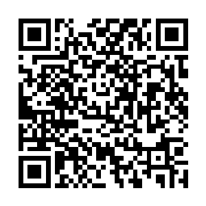 吴岩当初选定这里作为诱使十三部水族大军来攻的时候二维码生成