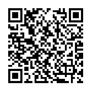 吴岩心神微动之际已然布置好了死亡山林那边法阵二维码生成