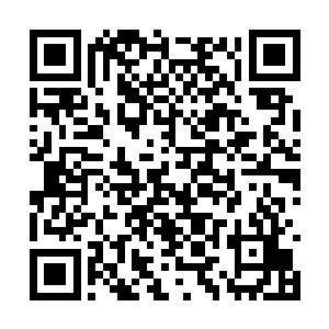 吴岩把那十几根乌黑的墨蝰藤枯茎小心的研磨成粉二维码生成