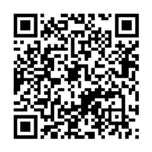 吴岩是不是因为感觉自己有可能无法通过天梯考核二维码生成